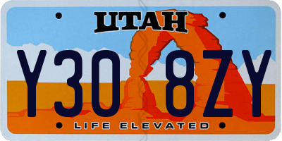UT license plate Y308ZY