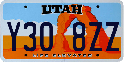 UT license plate Y308ZZ