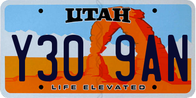 UT license plate Y309AN