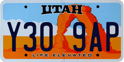 UT license plate Y309AP