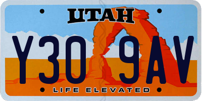 UT license plate Y309AV