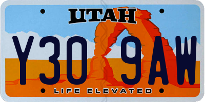 UT license plate Y309AW