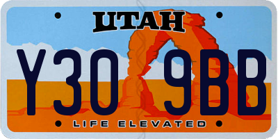 UT license plate Y309BB