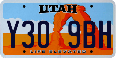 UT license plate Y309BH