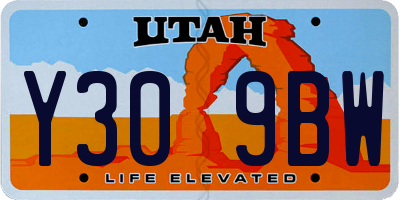 UT license plate Y309BW