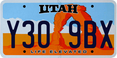 UT license plate Y309BX