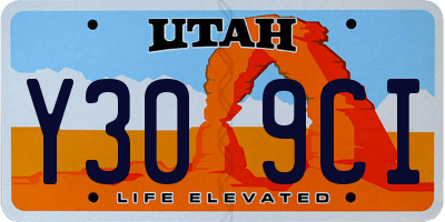 UT license plate Y309CI