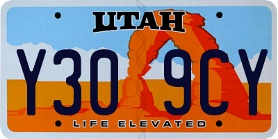 UT license plate Y309CY
