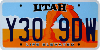 UT license plate Y309DW