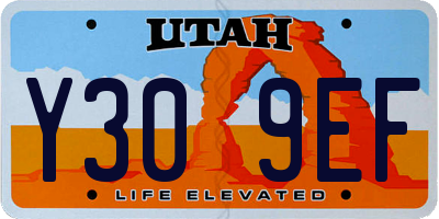 UT license plate Y309EF