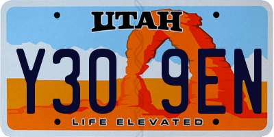 UT license plate Y309EN