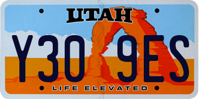 UT license plate Y309ES
