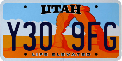UT license plate Y309FG