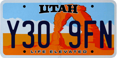 UT license plate Y309FN
