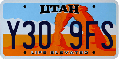 UT license plate Y309FS