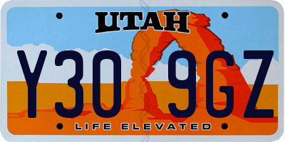 UT license plate Y309GZ