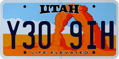 UT license plate Y309IH