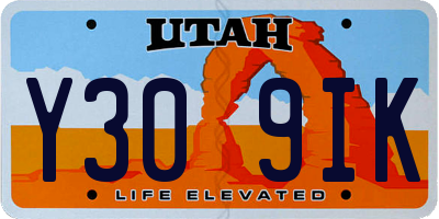 UT license plate Y309IK