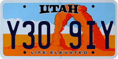 UT license plate Y309IY