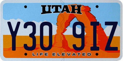 UT license plate Y309IZ