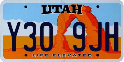 UT license plate Y309JH