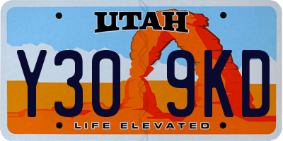 UT license plate Y309KD