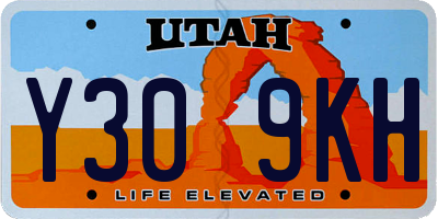 UT license plate Y309KH