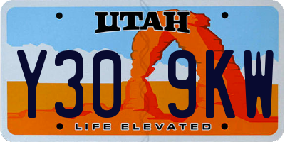 UT license plate Y309KW