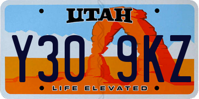 UT license plate Y309KZ