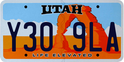 UT license plate Y309LA
