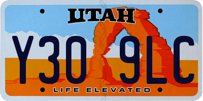 UT license plate Y309LC