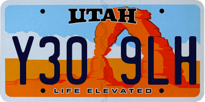 UT license plate Y309LH