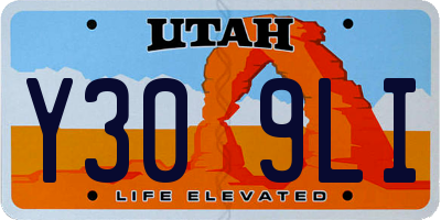 UT license plate Y309LI