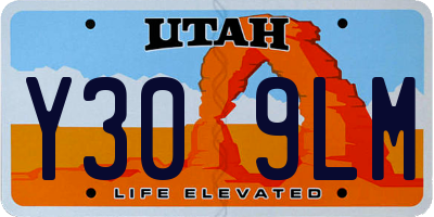 UT license plate Y309LM