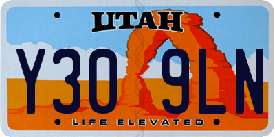 UT license plate Y309LN