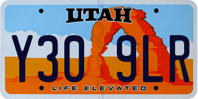 UT license plate Y309LR