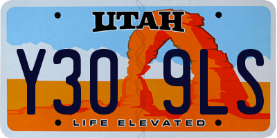 UT license plate Y309LS