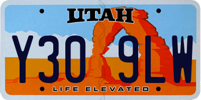 UT license plate Y309LW