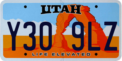 UT license plate Y309LZ