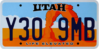 UT license plate Y309MB