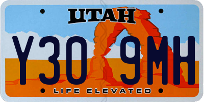 UT license plate Y309MH