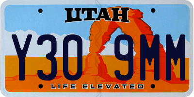 UT license plate Y309MM