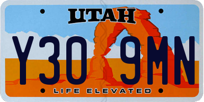 UT license plate Y309MN