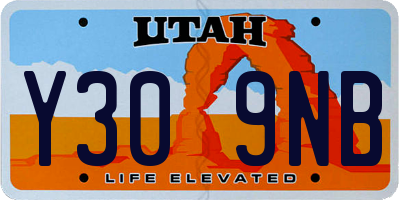 UT license plate Y309NB
