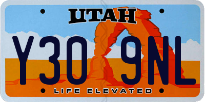 UT license plate Y309NL