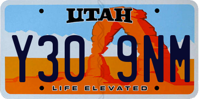 UT license plate Y309NM