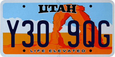 UT license plate Y309QG