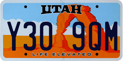 UT license plate Y309QM