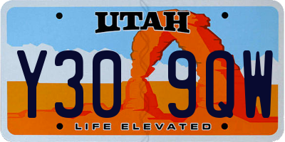 UT license plate Y309QW