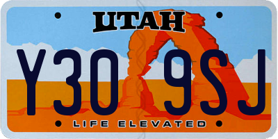 UT license plate Y309SJ